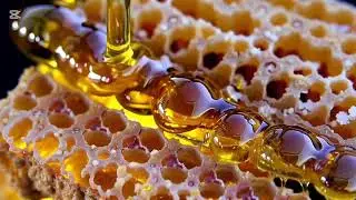 The Most Relaxing Honey Dripping ASMR