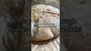 Over proofed sourdough 🍞 #sourdoughclub #sourdough #sourdoughbread #sourdoughbaking