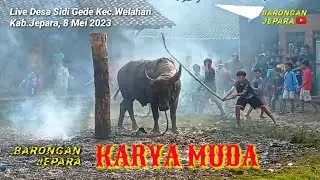 Barongan Jepara KARYA MUDA Live Ds Sidi Gede Kec.Welahan || Tradisi PRASAH  Kerbau seserahan lamaran