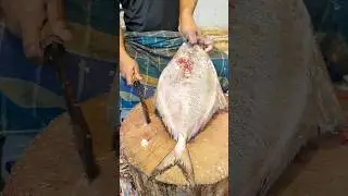 Amazing Giant Black Pomfret Fish Cutting Skills In Bangladesh local Fish Market #shorts