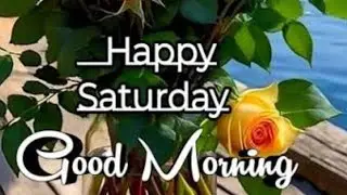Good morning saturday images  !! Best good morning flowers images  !! Good morning photos