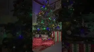 Elk&eacute;sz&uuml;lt a kar&aacute;csonyfa 🎅🎅🎄🎄🎄 Kellemes kar&aacute;csonyi &uuml;nnepeket k&iacute;v&aacute;nok mindenkinek !!  #kar&aacute;csony