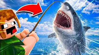 PESCAR um PEIXE ou TUBARÃO? | Roblox Catch a Fish
