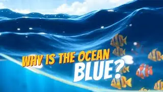 Why Is the Ocean Blue? 🌊 | Fun Learning for Kids