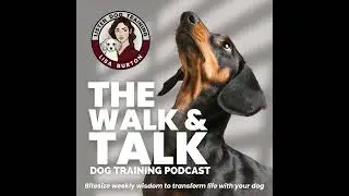 How to Set Up a Multi-Dog Household for Success
