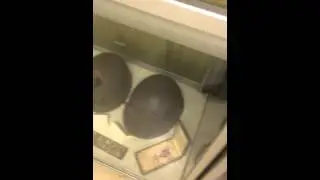 War Memorial in Muskogee, OK Museum Walkthrough