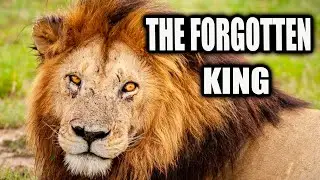 The Lion Dynasty the World Almost Forgot