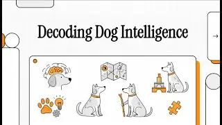 How Smart is Your Dog? (The Science of Canine Intelligence)