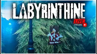 I'm not lost, you're lost ! | Labyrinthine