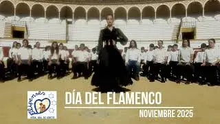 Día del flamenco NSL 2025
