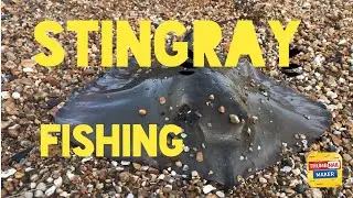 I caught my very first stingray sea fishing from a uk selsey beach buzzing