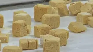 Behind the scenes at Platter&rsquo;s Chocolate Factory for National Sponge Candy day