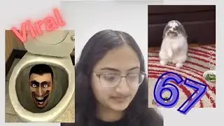 Reacting to 2025's Biggest Trends / Viral Videos