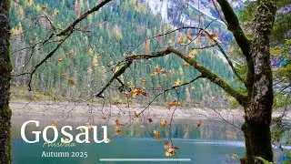 Beautiful Autumn Gosausee, Austria | Walking Tour | We&rsquo;ll miss you
