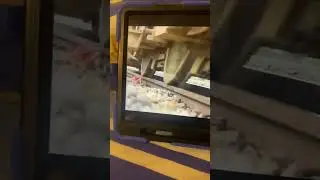 Train vs chicken 🐓 test