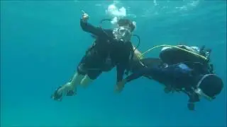 Купаемся с дельфинами.    Dolphin Reef Southern Beach Eilat