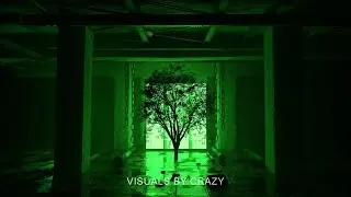 4K Tree VJ Loop Green Neon - Nature Visuals Background