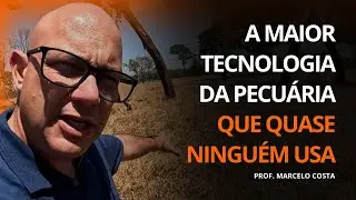 A MAIOR TECNOLOGIA DA PECUÁRIA QUE QUASE NINGUÉM USA | PROF. MARCELO COSTA