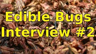 Edible Bugs: Learning the Details Pt2 - Sarah Schlafly Interview (Mighty Cricket Founder)