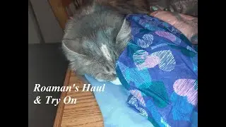 Roaman's Haul & Try On