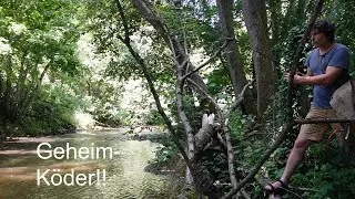SELEKTIV auf große Fische mit diesem UNBEKANNTEN  Köder?!