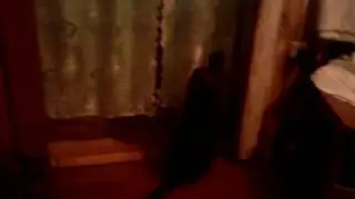 Видеооб обычном