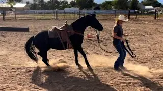 Groundwork With My Mustang Mare On a Lunge Line | Music: Chain Breaker - Zach Williams