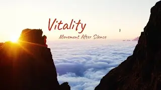 After Stillness, Everything Moves Forward | Nature Exploration | Aerial
