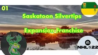 NHL 22 Saskatoon silvertips Franchise Expansion Draft EP1