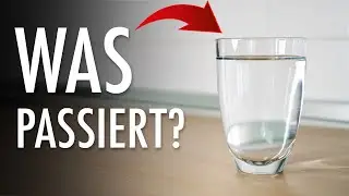 Was bewirkt 1 GLAS WASSER am Morgen?