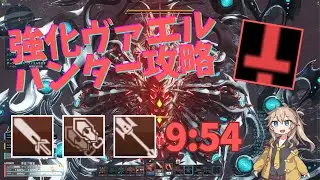 【PSO2NGS】 ヴァエル ハンター解説 【ボイロ実況】