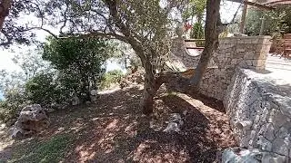 Villa Primaluce Salento