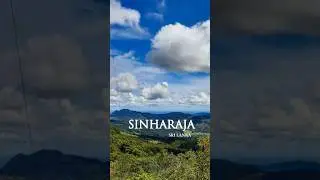 Sinharaja Forest, Sri Lanka  #travel #SinharajaForest #srilanka #SriLankaNature #TravelSriLanka