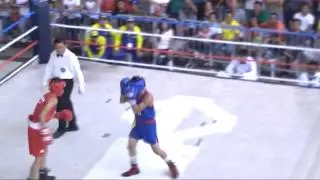 Palarong Pambansa 2013 boxing