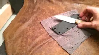 Pinned model c