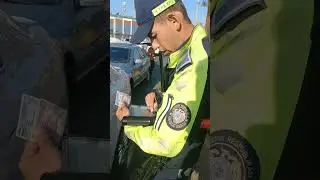 MUSIR GAYILAR TASHKENTDA