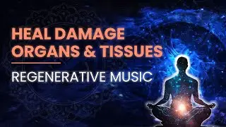 Heal Damaged Organs And Tissues &ndash; Strengthen Bones, Cartilage And Blood Vessels - Regenerative Music