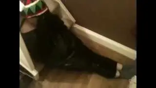The Rasta Caterpillar