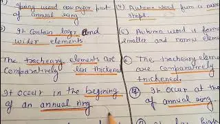difference between spring wood and autumn wood
