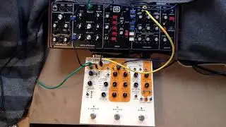Behringer Model D and Squaver P1 +