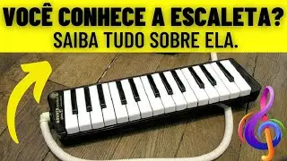 Você Conhece a Escaleta? Saiba Tudo Sobre Esse Instrumento Musical.