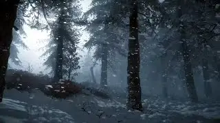 Intense Winter Storm in the Forest | Blizzard & Wind Sounds for Cozy Nights | Soothing Nature Sounds