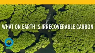 What on Earth is Irrecoverable Carbon?