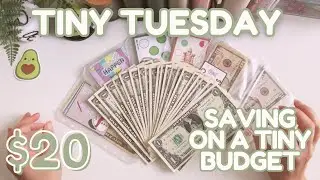 🥑 Tiny Tuesday | Saving Money on a Tiny Budget | August Week 4