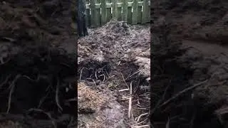 How To Fix A Flooded Yard With A French Drain
