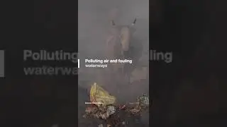 Traceable waste