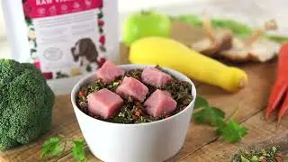 Raw Vibrance: How to Make a Balanced Raw-Diet for Dogs