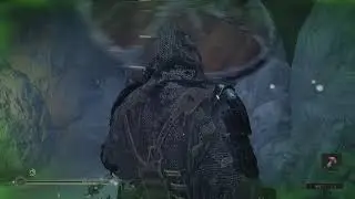 Mortal Shell glitch