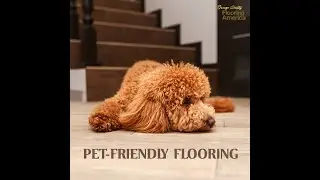 Flooring pet proof