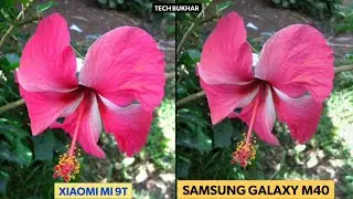 Xiaomi MI 9T vs Samsung Galaxy M40 Camera Comparison || #galaxym40, #mi9t, #TECHBUKHAR, M40 vs Mi 9t